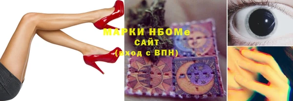 хмурый Арсеньев