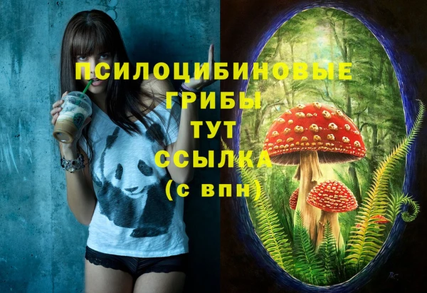 хмурый Арсеньев