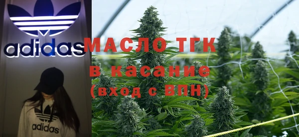 хмурый Арсеньев