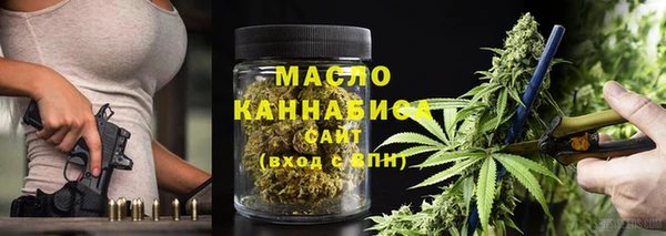 хмурый Арсеньев